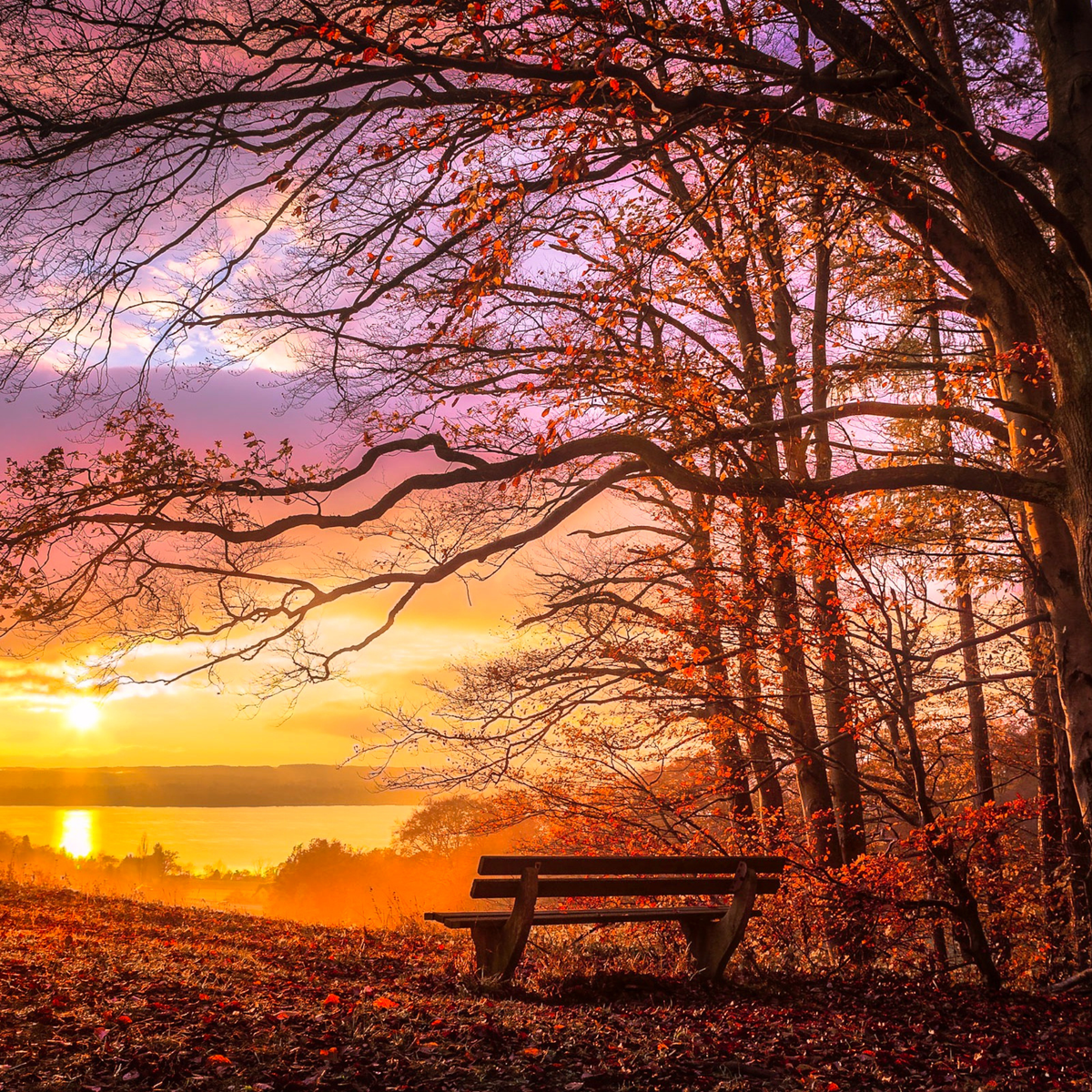 Mois de Novembre